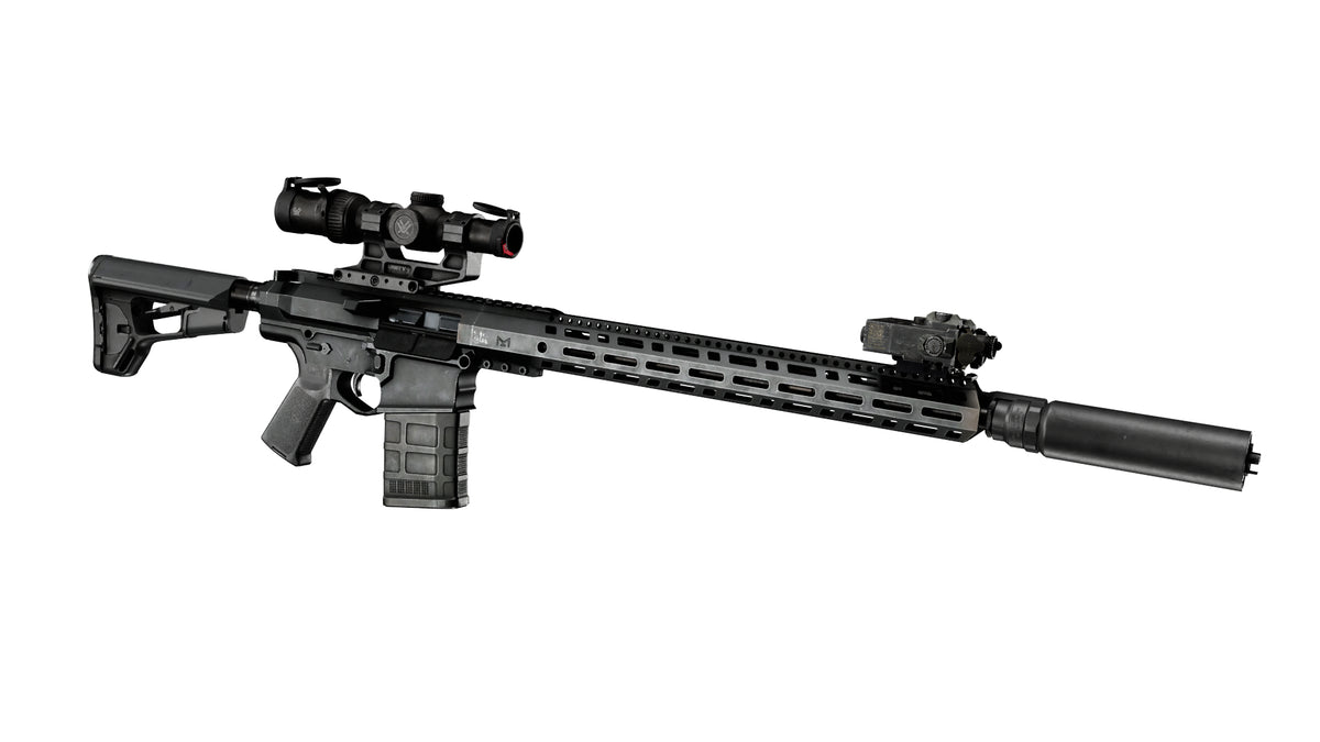 ACB LR308 RIFLE