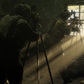 LEUPOLD PRO GUIDE CF455 TRIPOD KIT