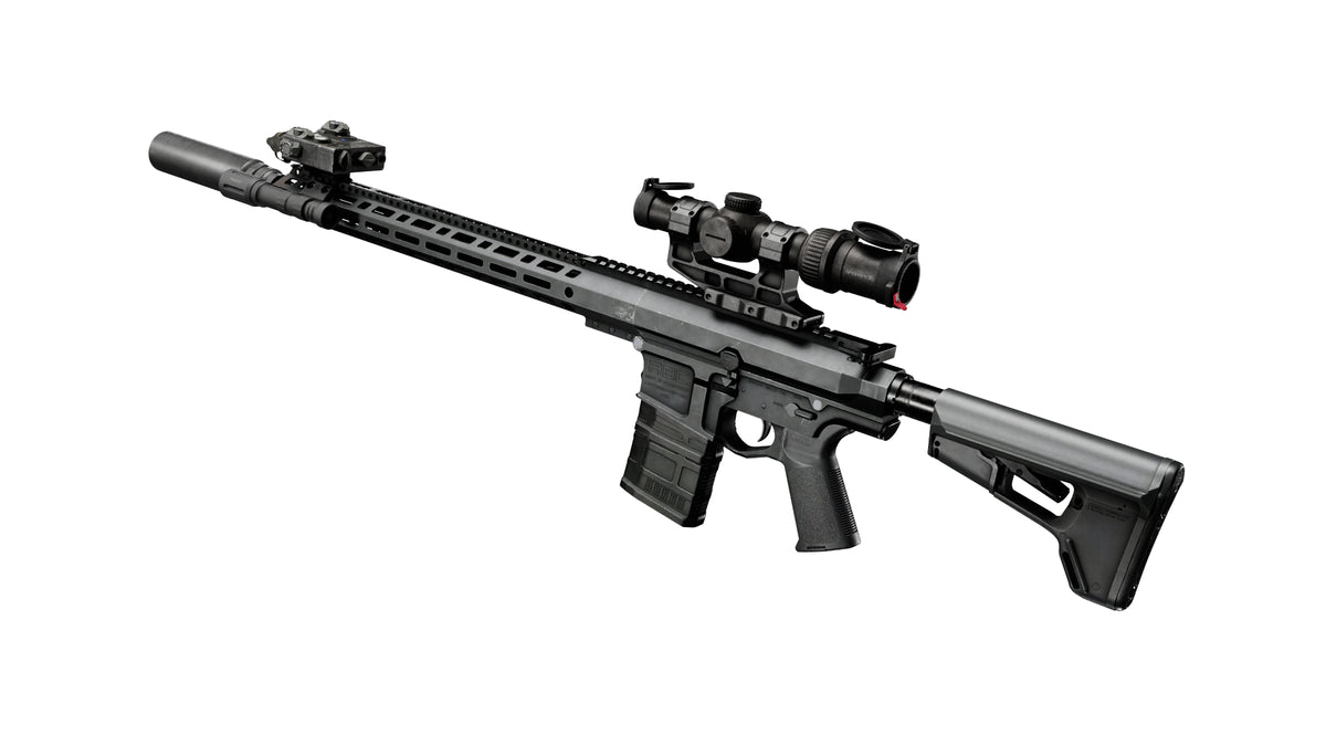ACB LR308 RIFLE