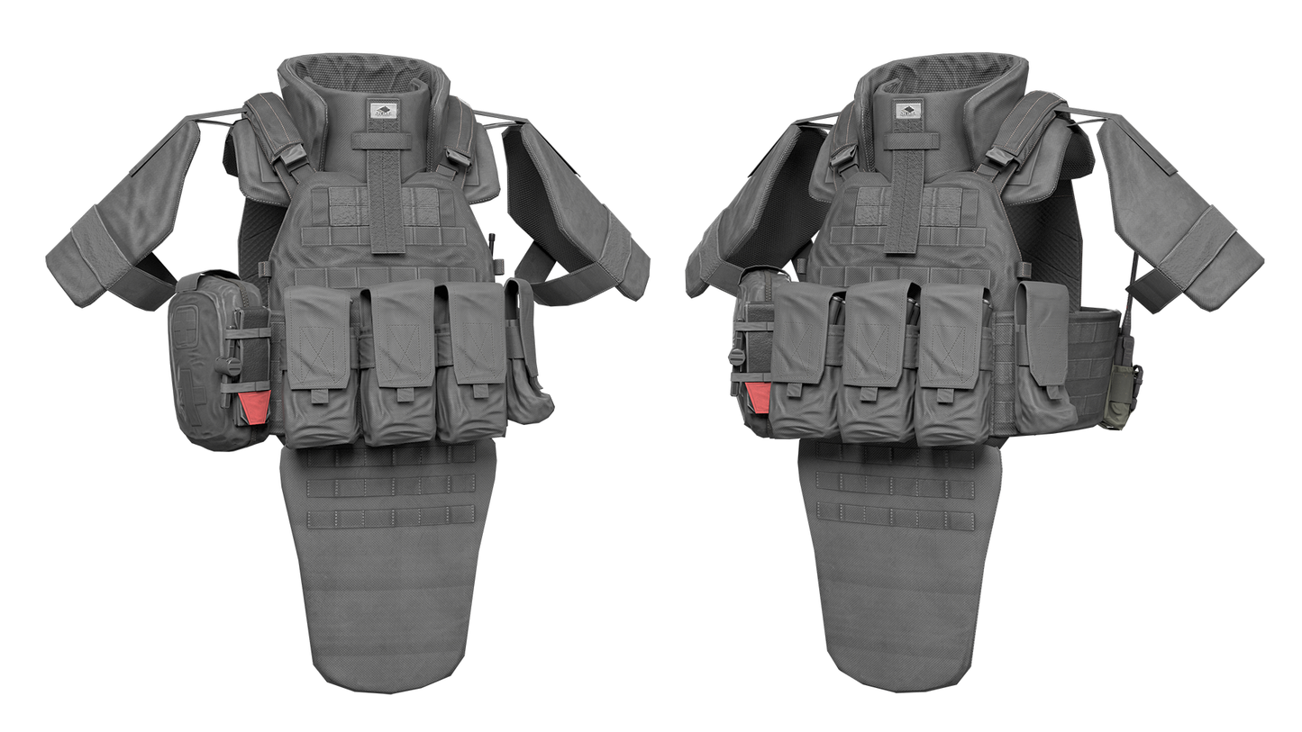 DCS PLATE CARRIER V2